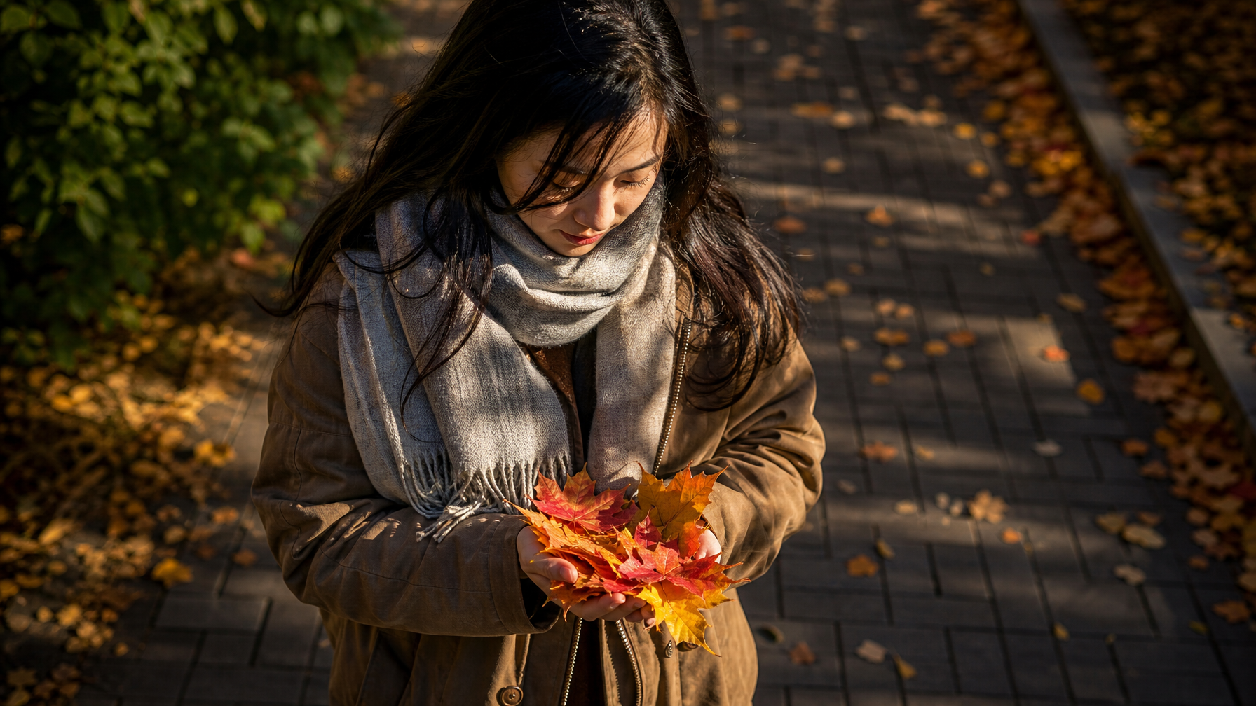 Ann Arbor qua bốn mùa trông như thế nào?