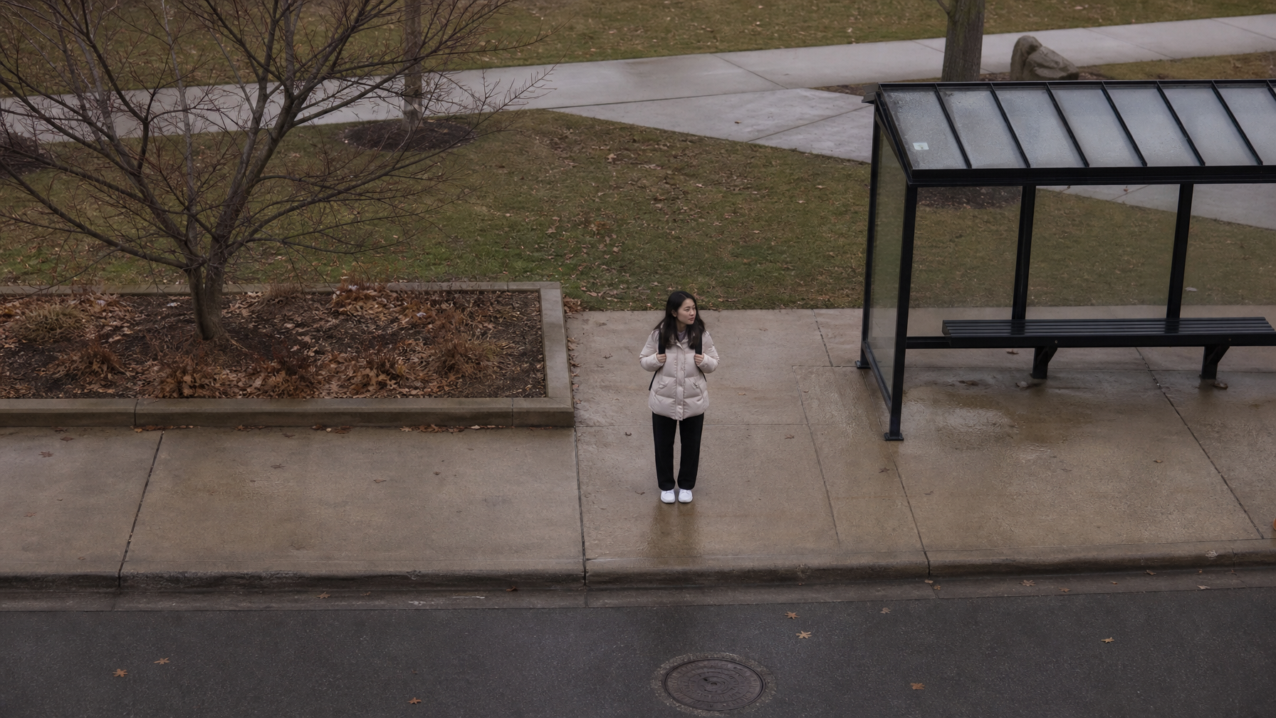 ชีวิตประจำวันของนักศึกษาต่างชาติใน Ann Arbor เป็นอย่างไร?
